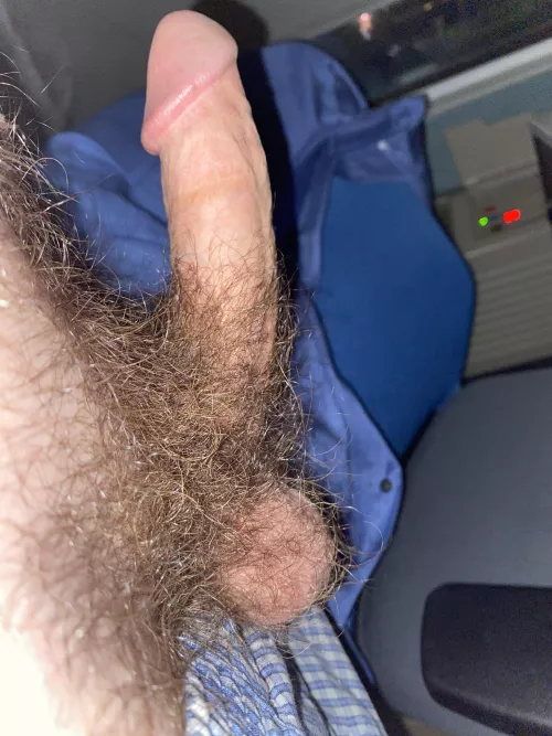 Thoughts on my hairy cock?