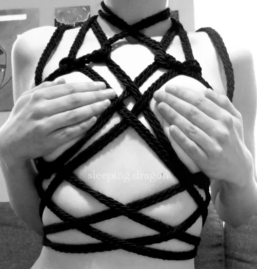 Today's first attempt.