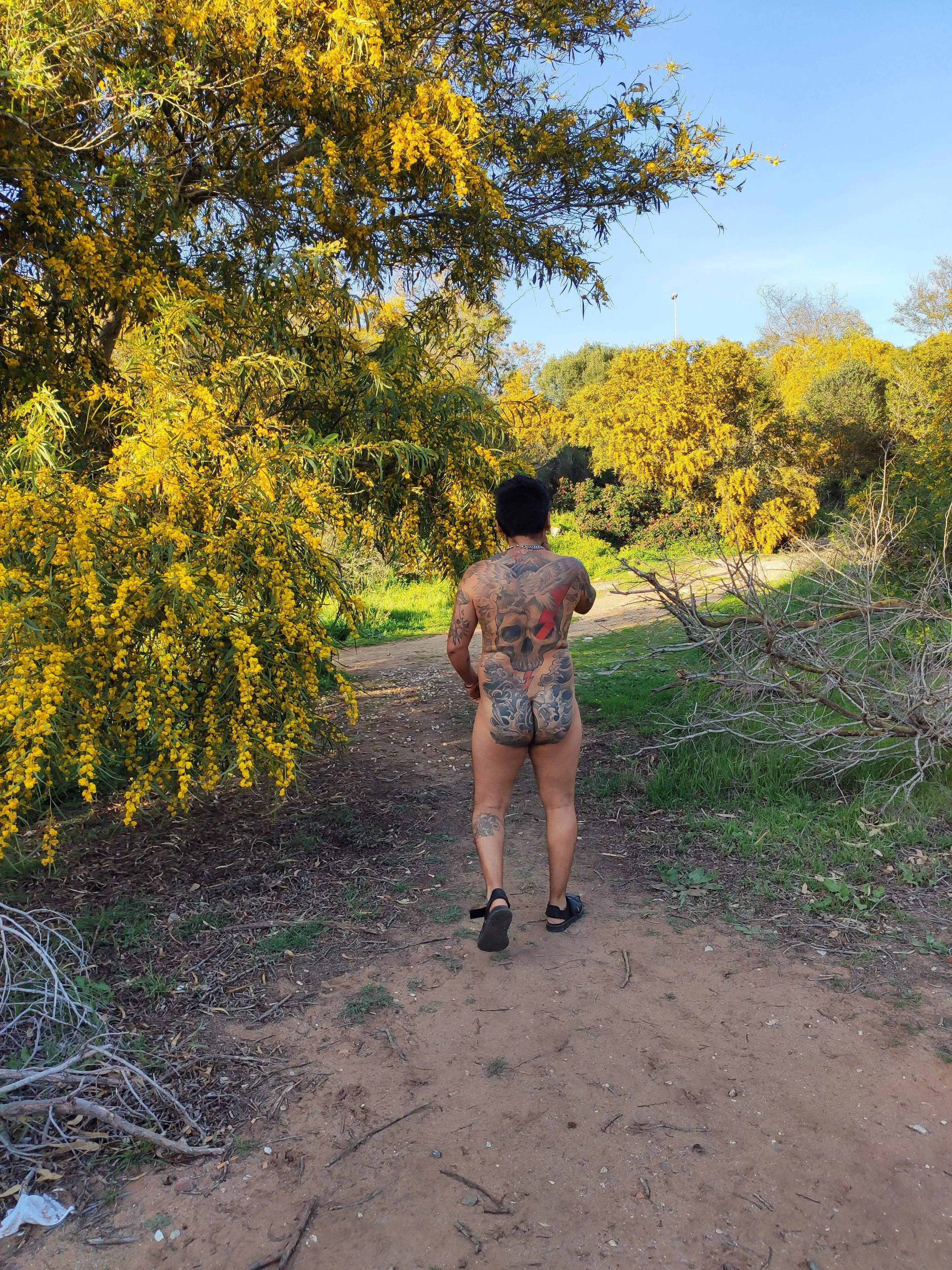 walking in the Mimosas...