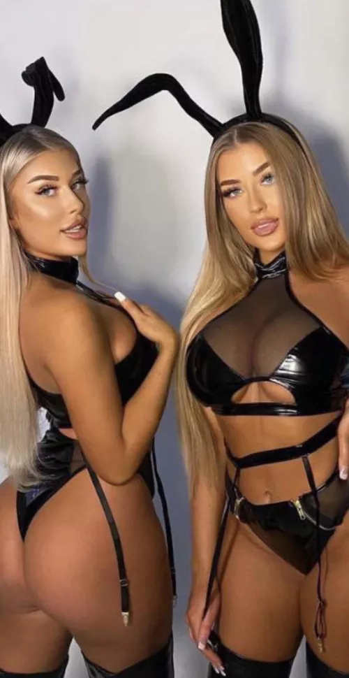 Which bunny u want hopping on u?😍😍😍