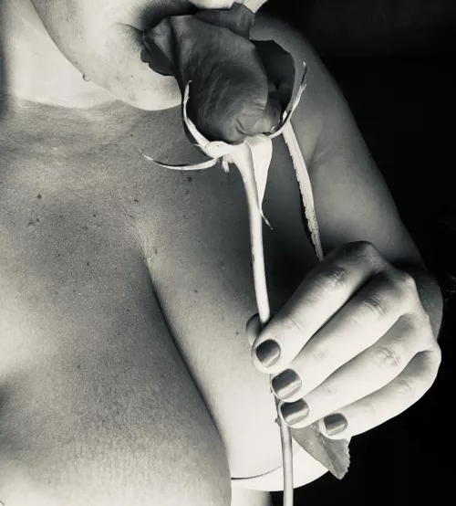 Who doesn’t love roses