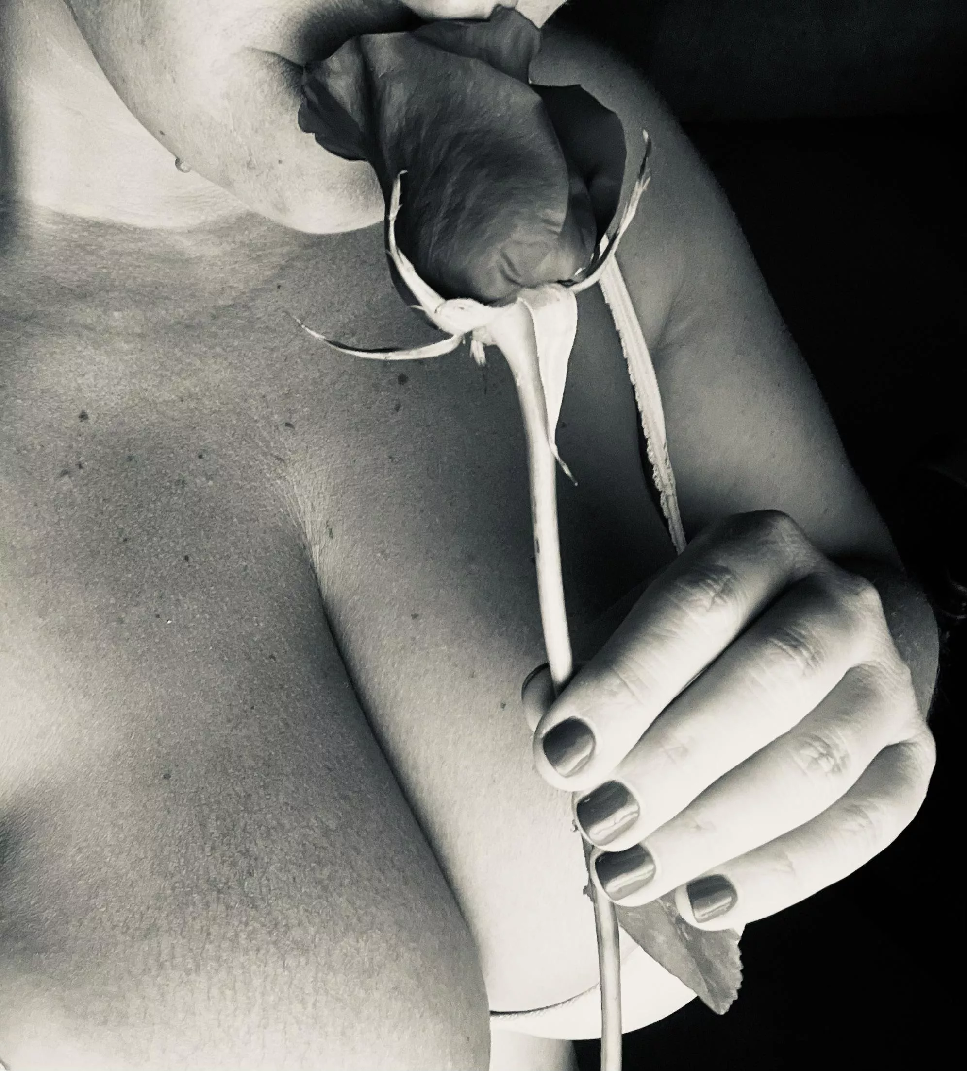 Who doesn’t love roses