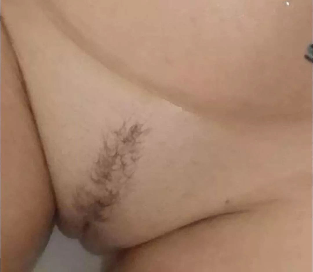 56f nice pussy ?