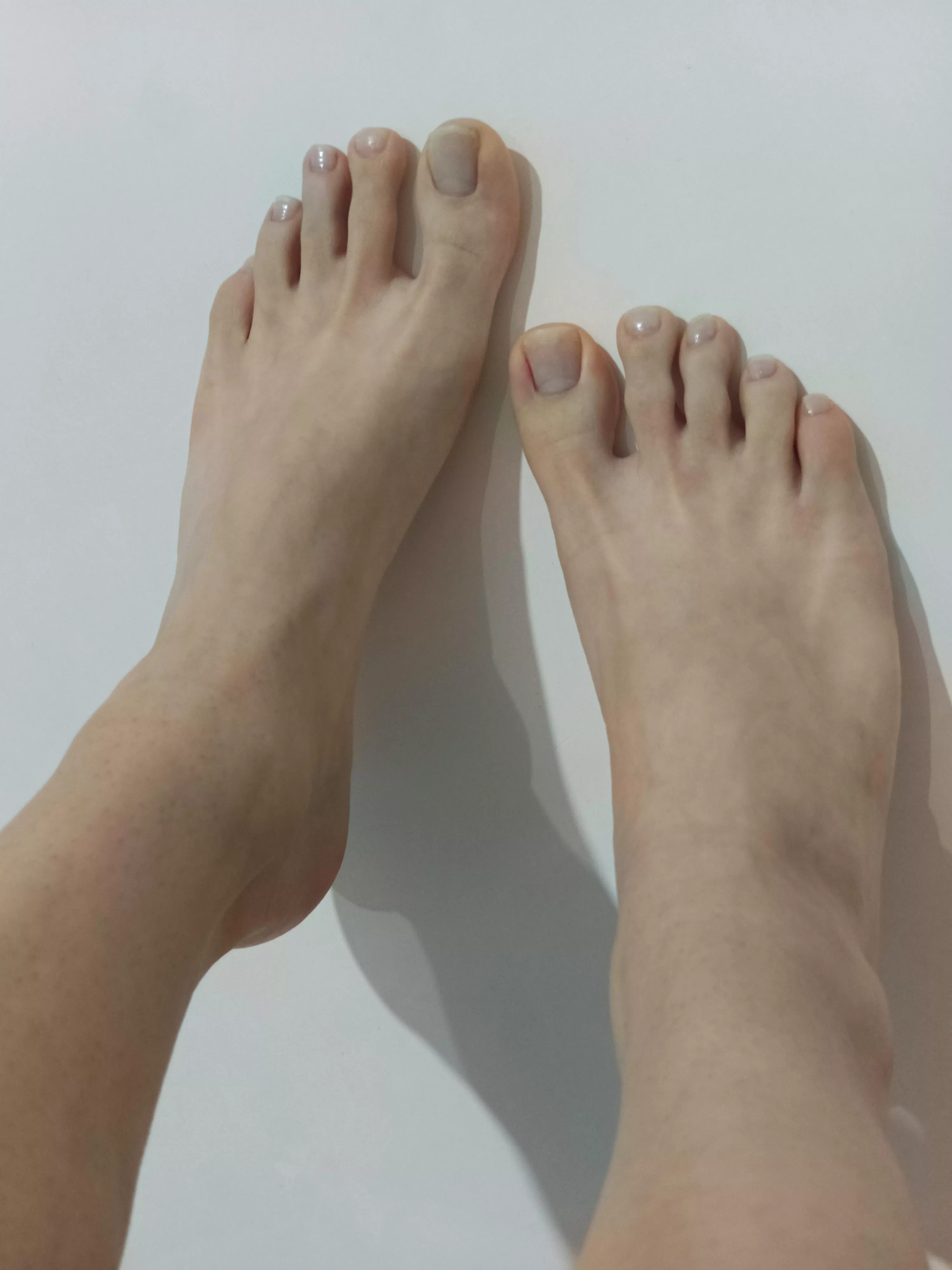 Do you want to bite them?🥺