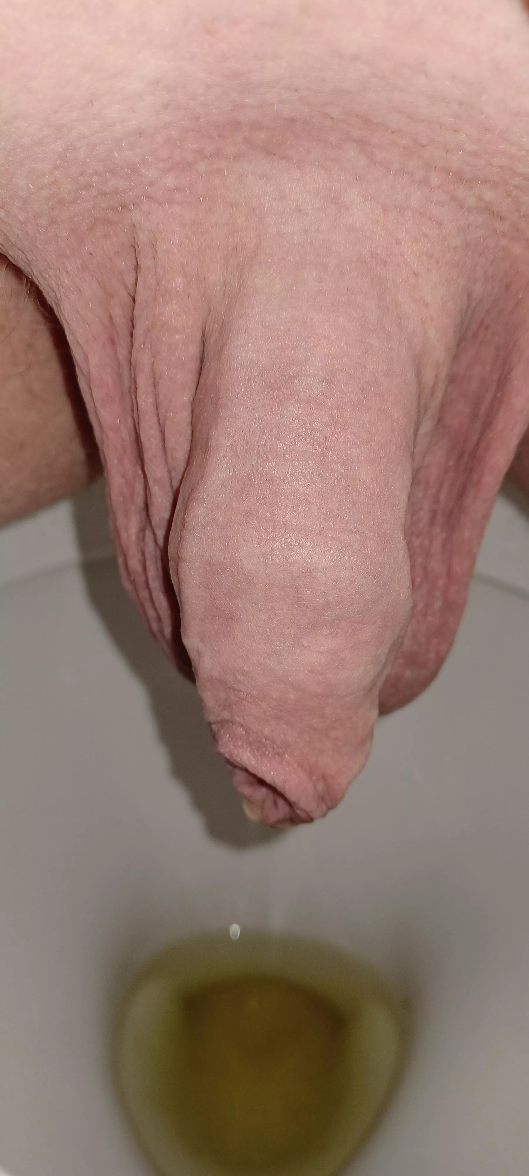 filling up the toilet