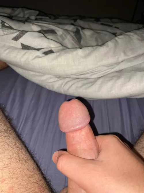 (M21) really craving an Aussie milf to see my dick