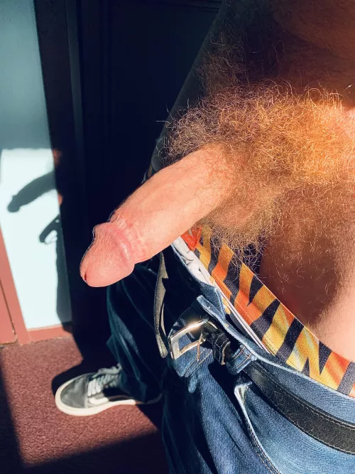 My orange dick wool 🧶