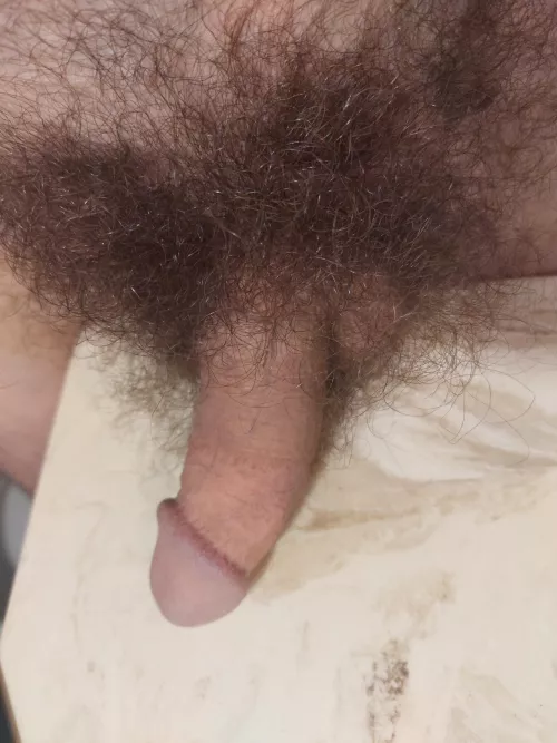 Sometimes it's best to just lay it all on the table.