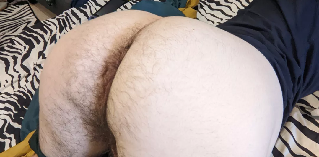 this fuzzy cake needs some love