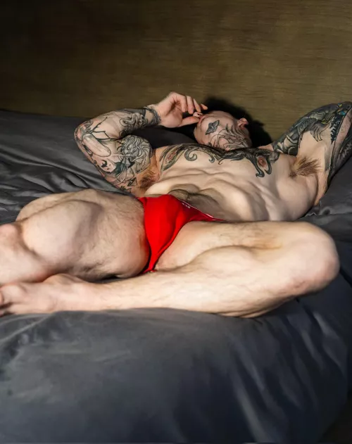 Who wants to cuddle?