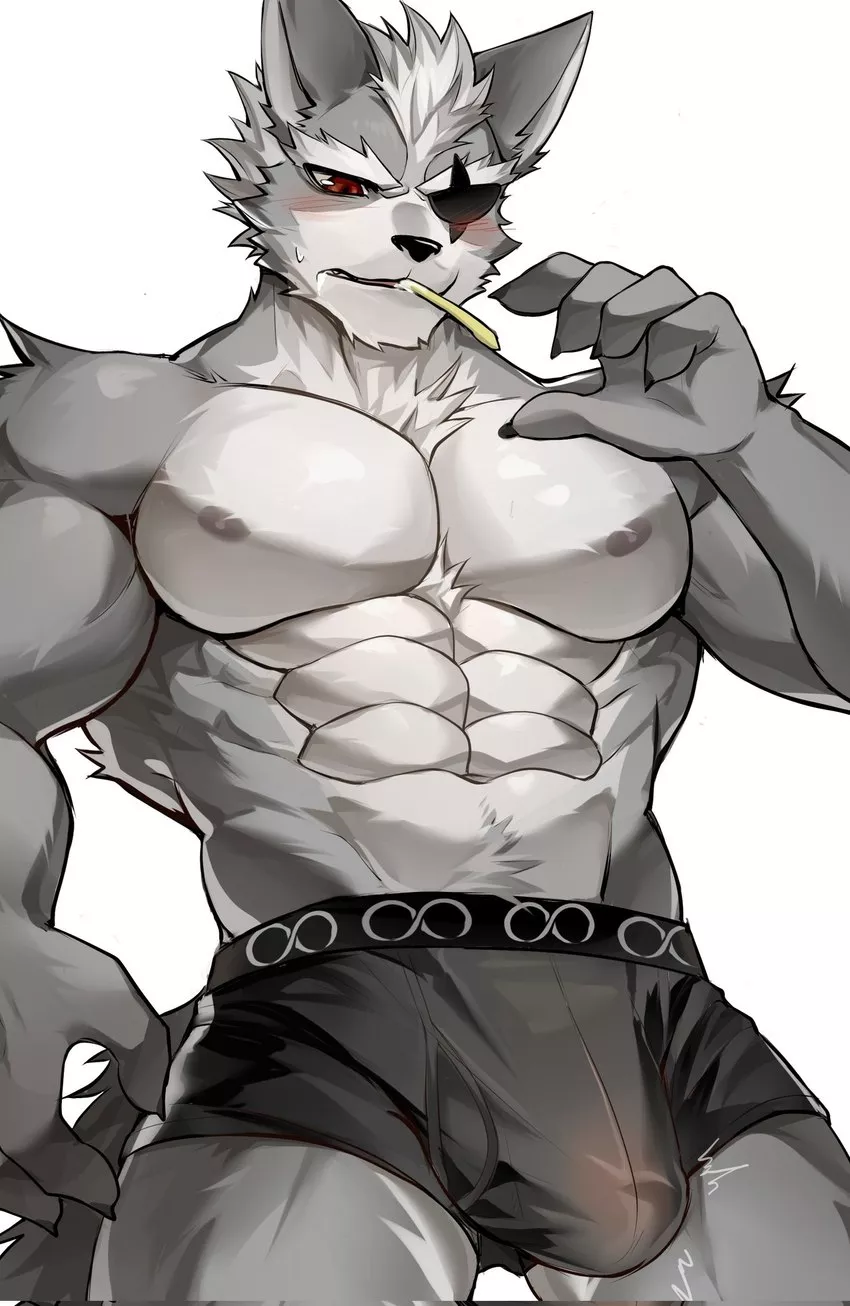 Wolf O' Donnell (chung0 0)