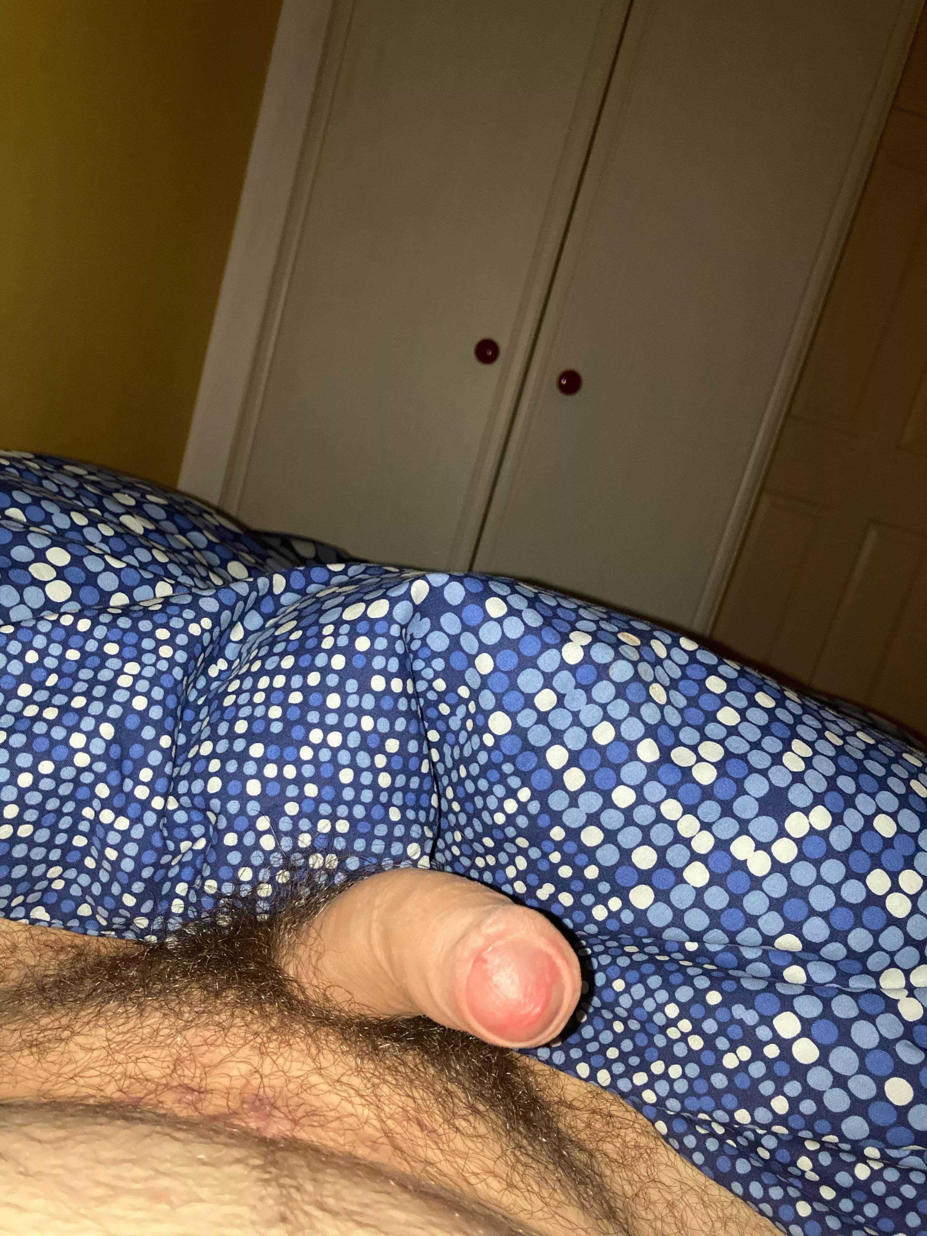 19 m chub looking for chubs bears and older guys sc:colliofullio