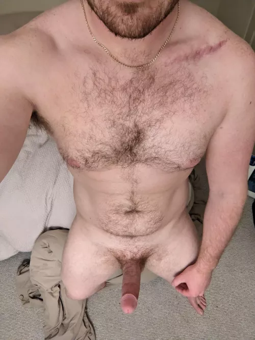 27. hung dom for live. bjwoof