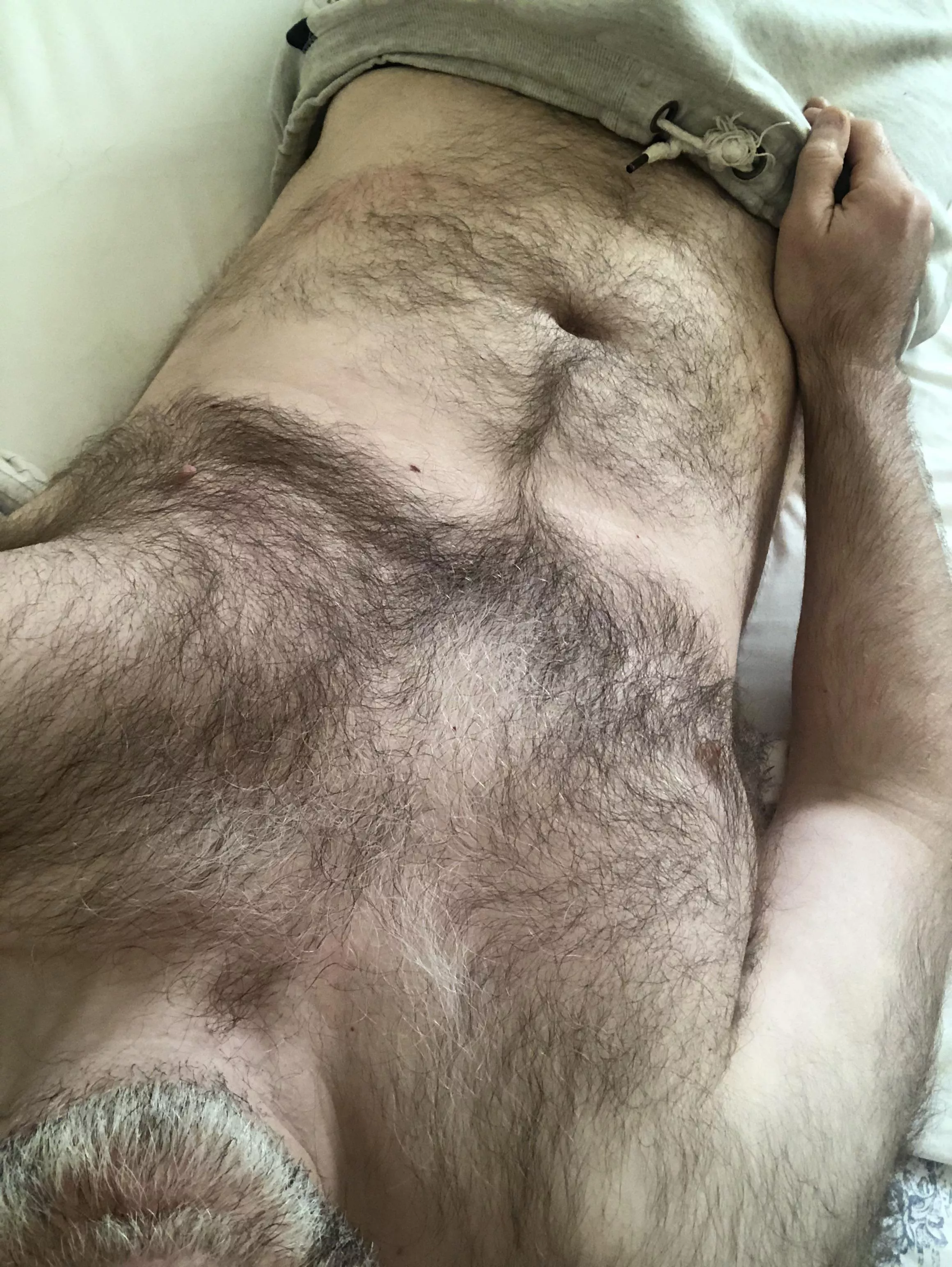 (47) English hairy pillow