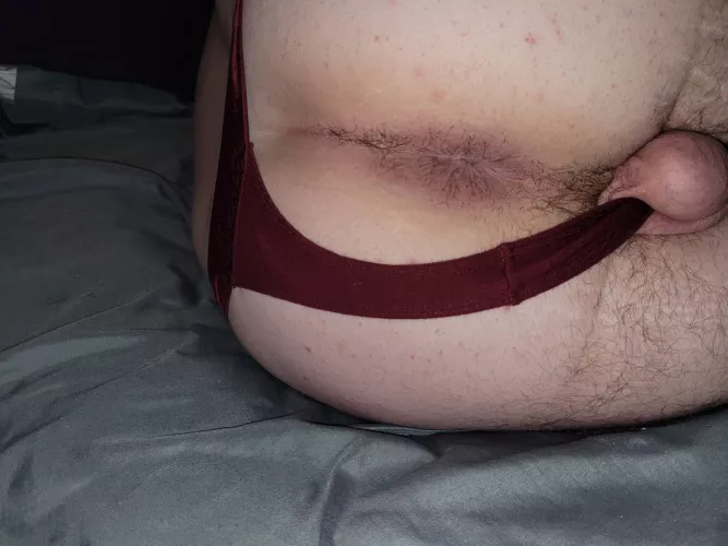 Come breed my virgin hole