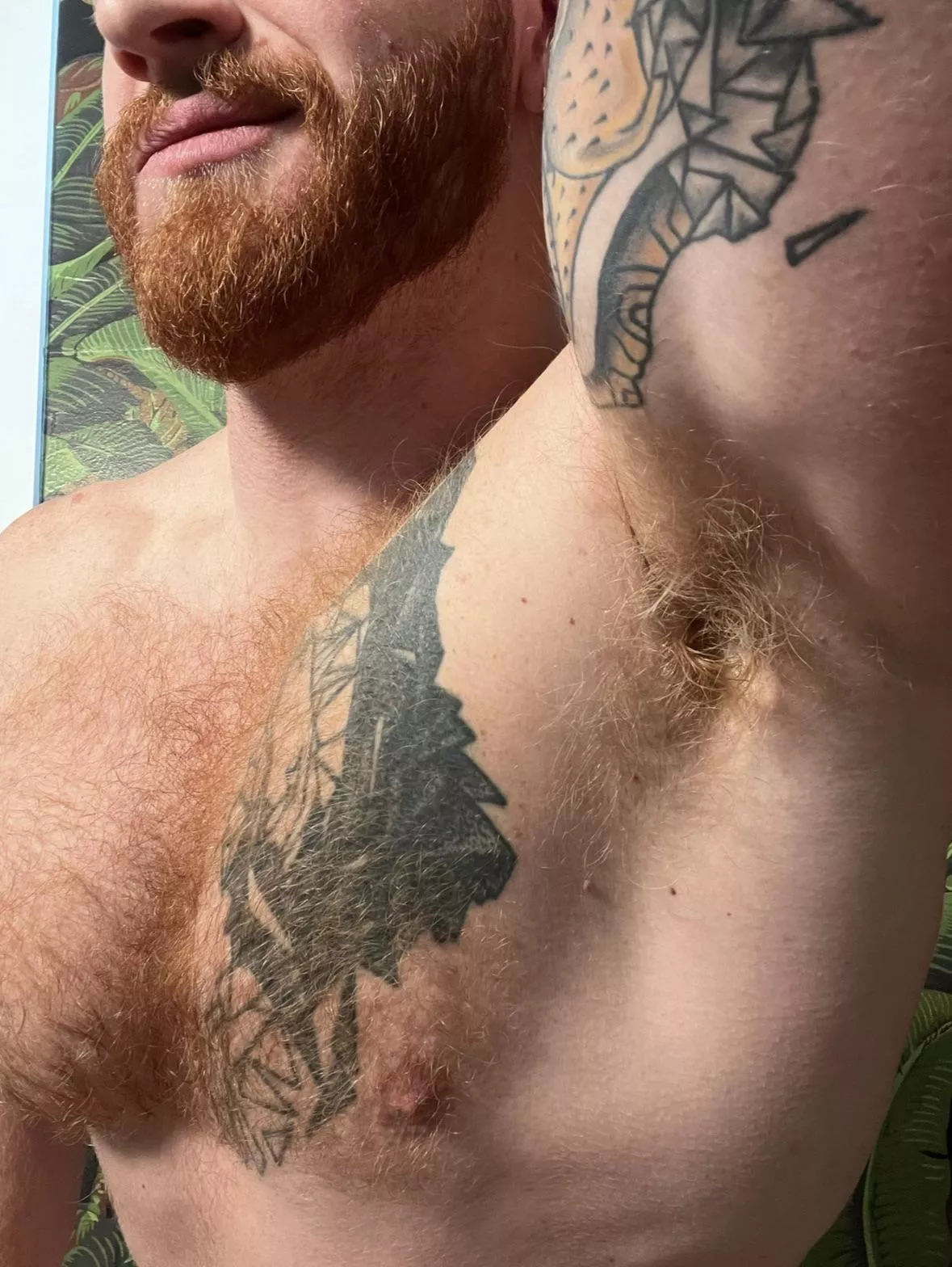 Do you like meaty armpits?