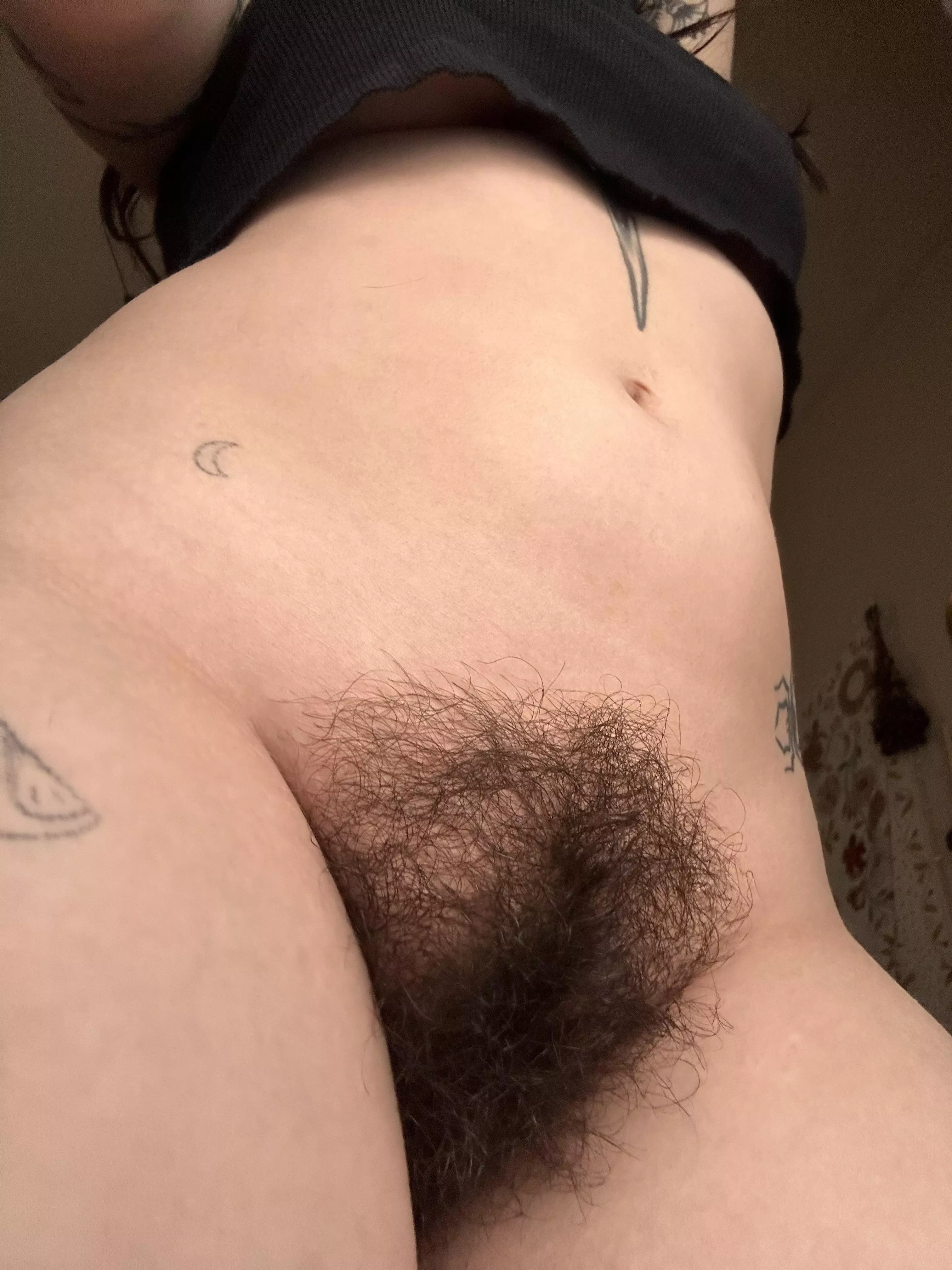 Feeling pretty proud of my bush