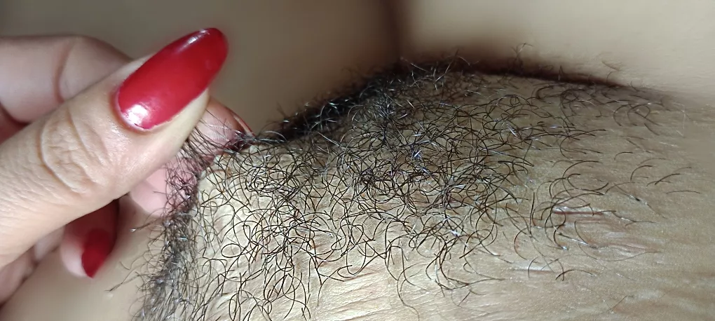 hairy pussy, nipples, armpits. I love hairy world