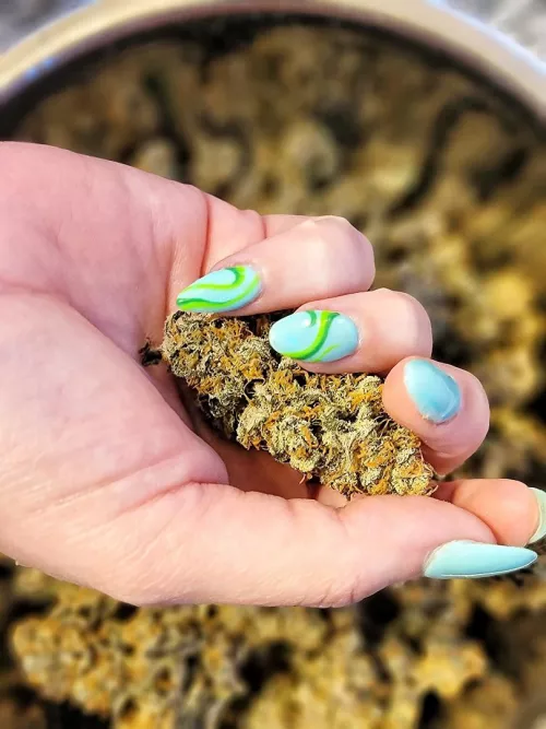 I’ve been obsessed with green this month! 🍃🍀