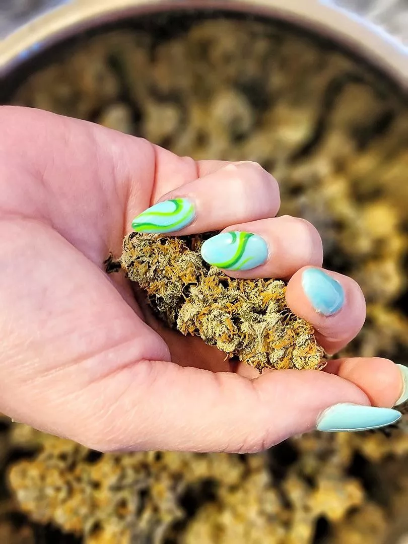 I’ve been obsessed with green this month! 🍃🍀