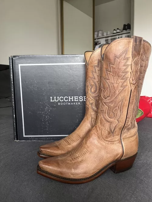 Just got my first pair of Cowboy boots and am in love. However, I know absolutely nothing about boot and leather care. Could this sub kindly share any leather-care tips/advice? It seems like there are so many different types of products and it's a bit o