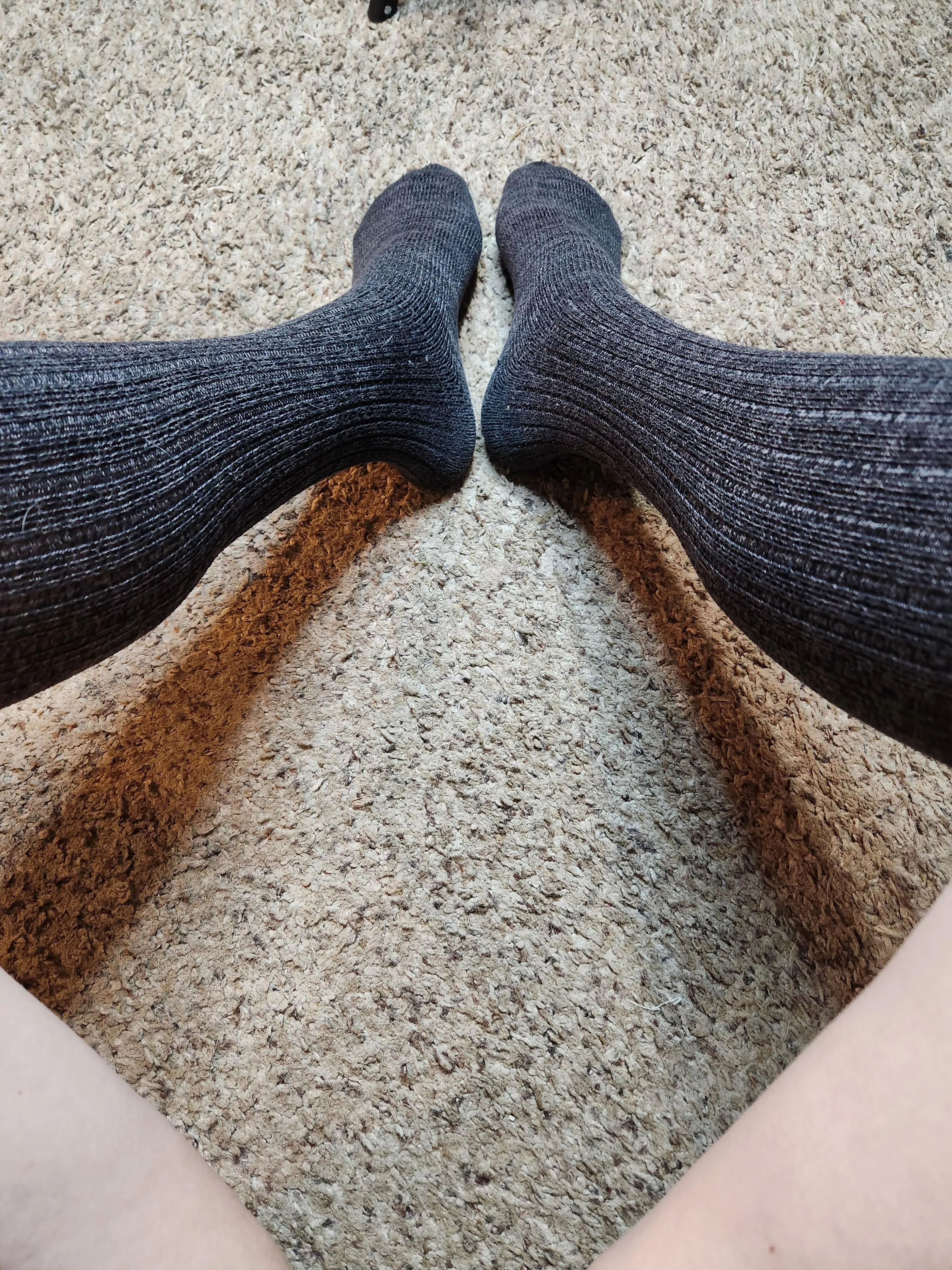 Keeping nice and warm [oc]