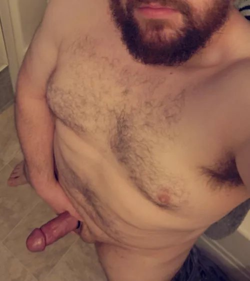 Kinda new to this...whatcha think of this bearded dad bear? 37m