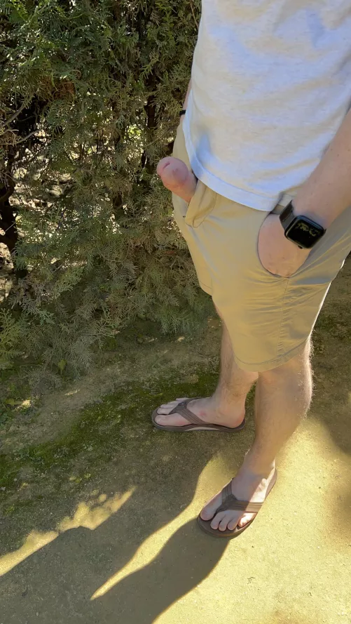 Live from the gardens in Sevilla