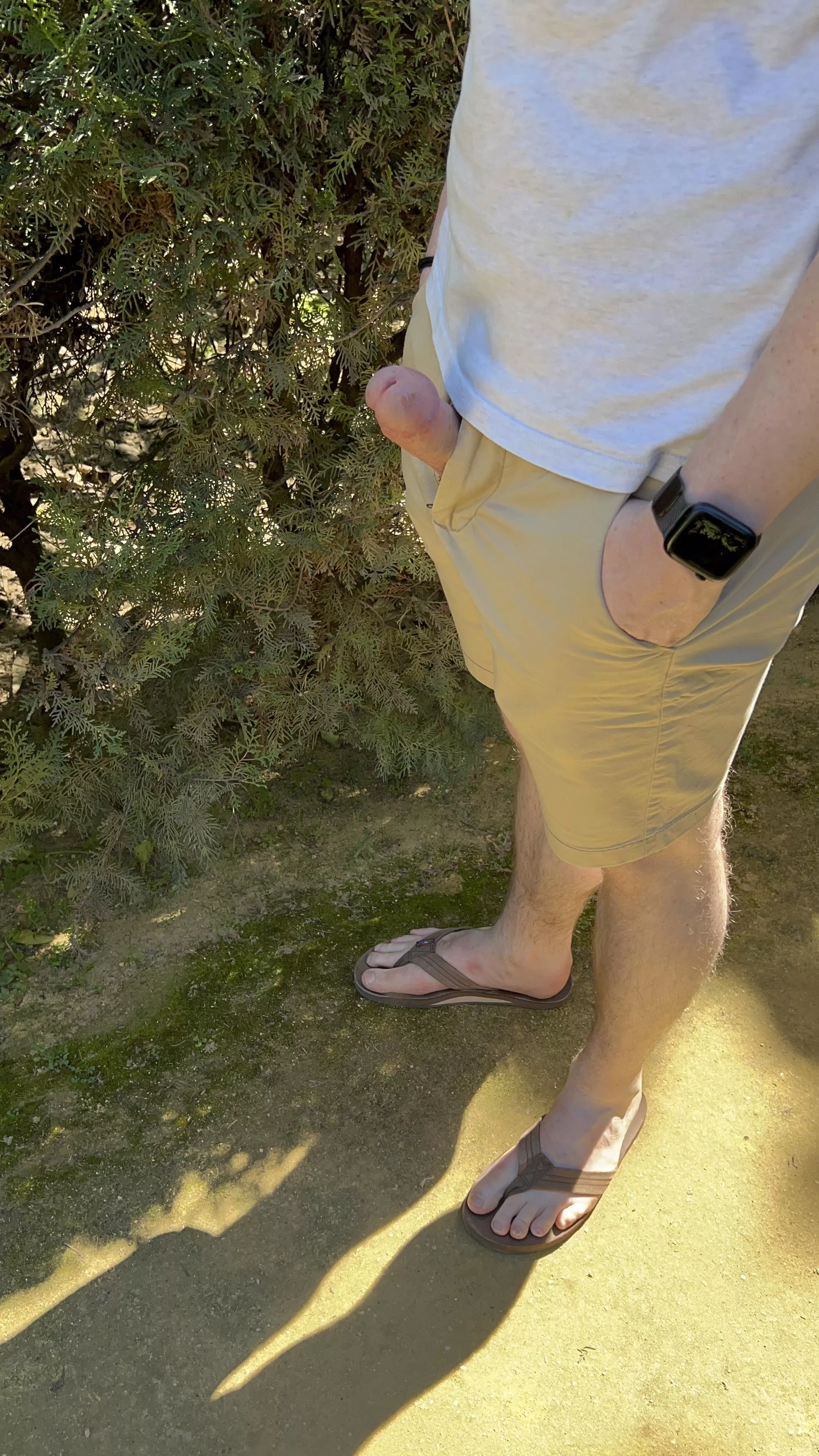 Live from the gardens in Sevilla