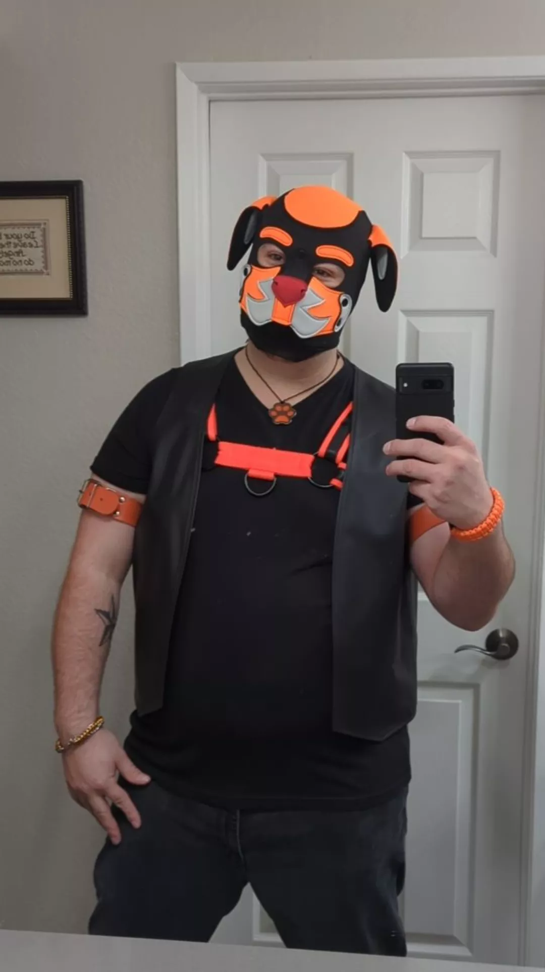 Master is looking for pups