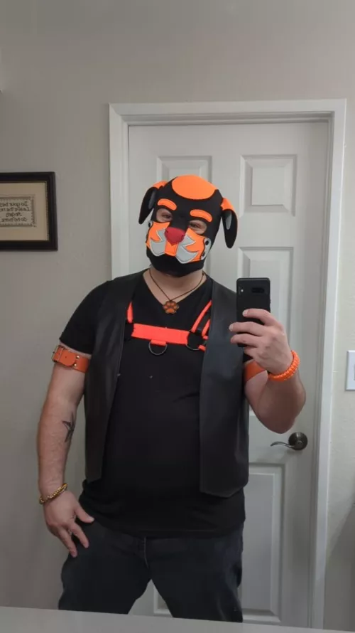 Master is ready for his pups