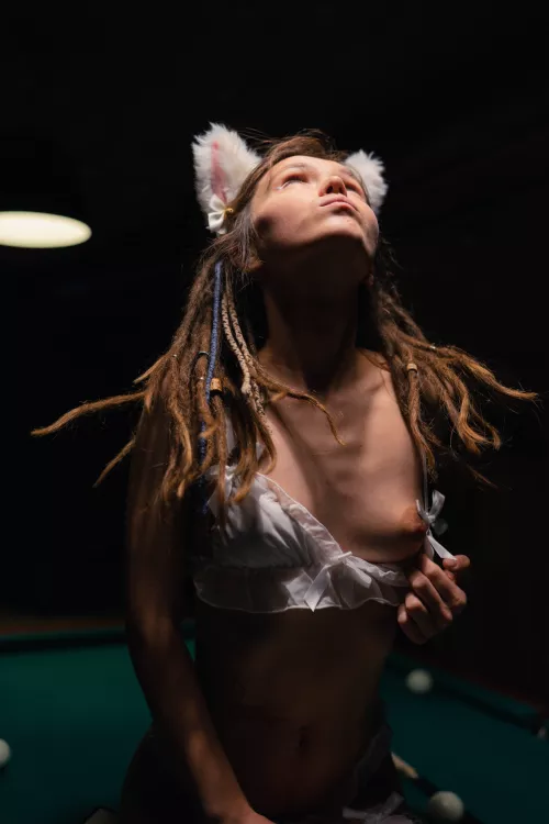 naughty cat climbed on the pool table again