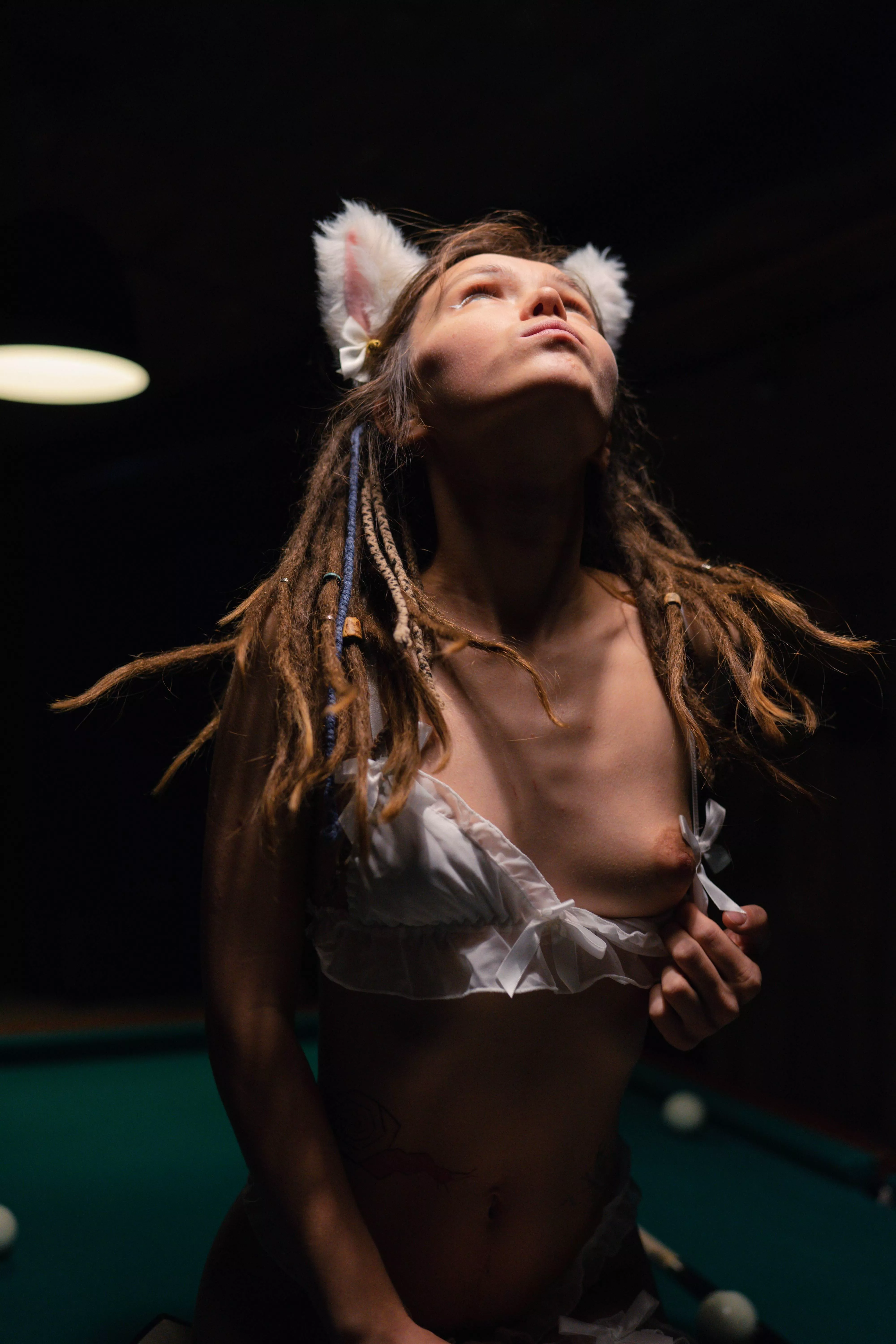 naughty cat climbed on the pool table again