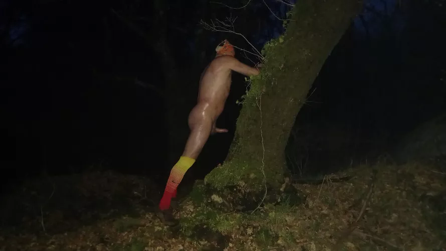 nighty boner in the forest