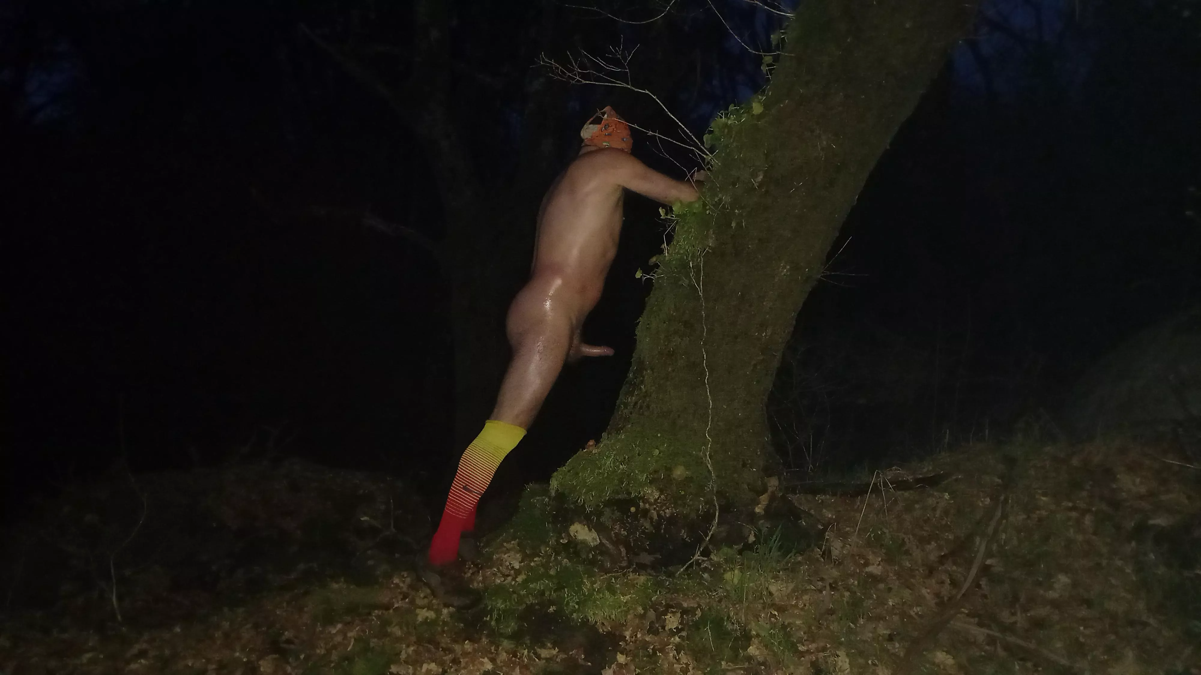 nighty boner in the forest