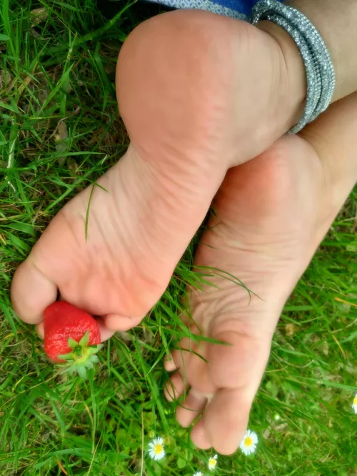 ❤️ Spring is here! are you ready to enjoy some sweet berries 🫠🫠🫠?