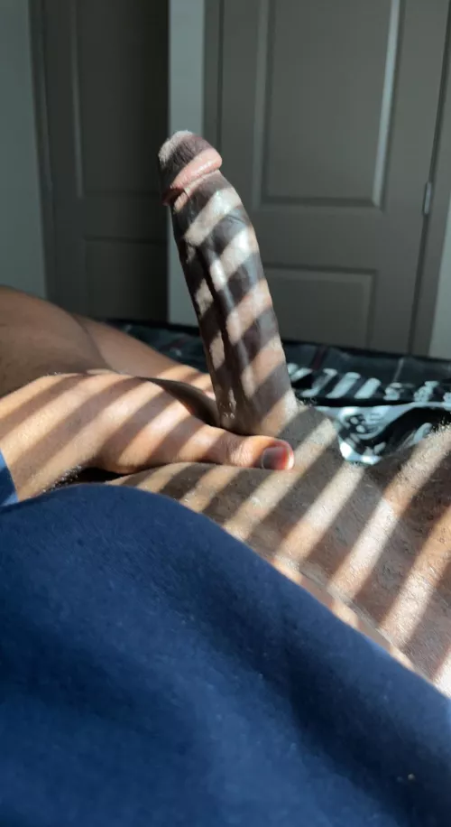 Sun hits at just the right angle