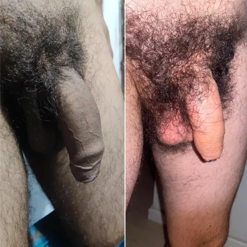 Which hairy dick is looking better ? The white or the brown? Do comment