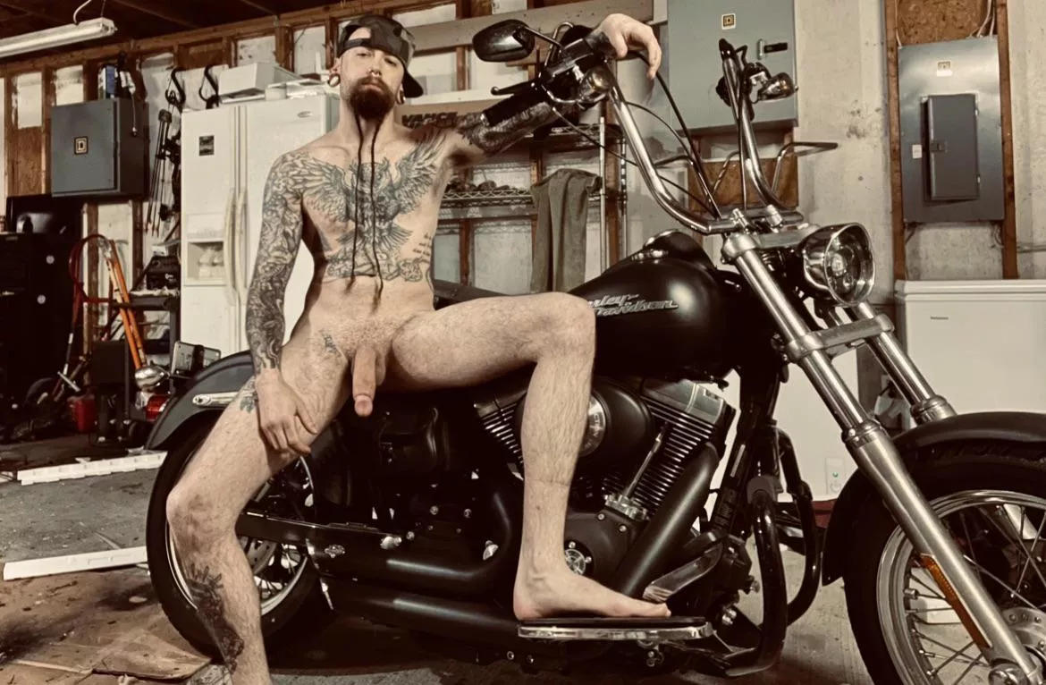 Which one you riding ?