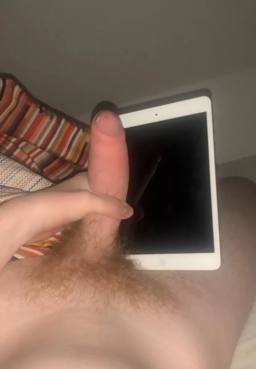 White cock and iPad