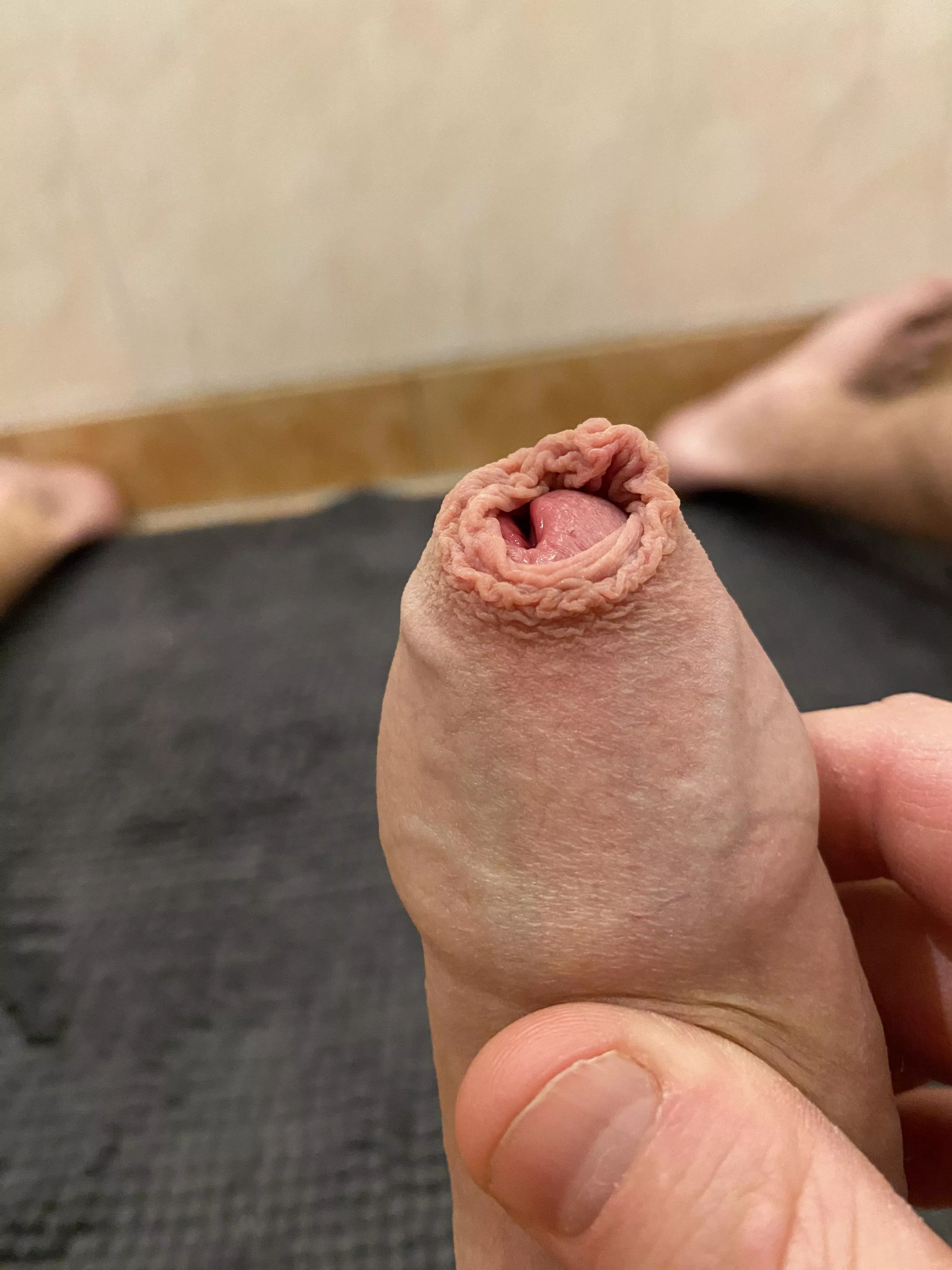 Would you lick my foreskin?