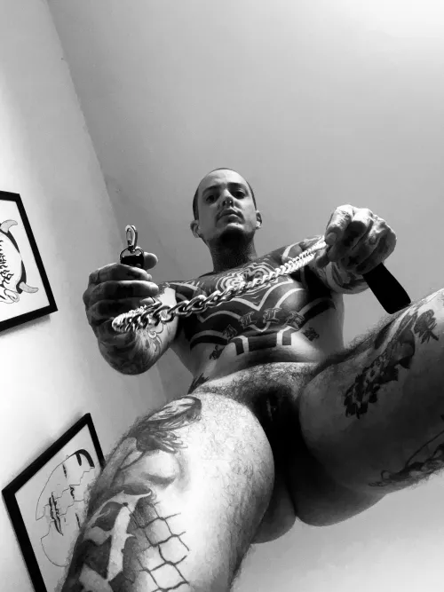 Your coach is ready to take you for a walk, have you been a good puppy?