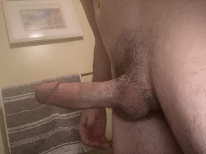 23 YR OLD Cock