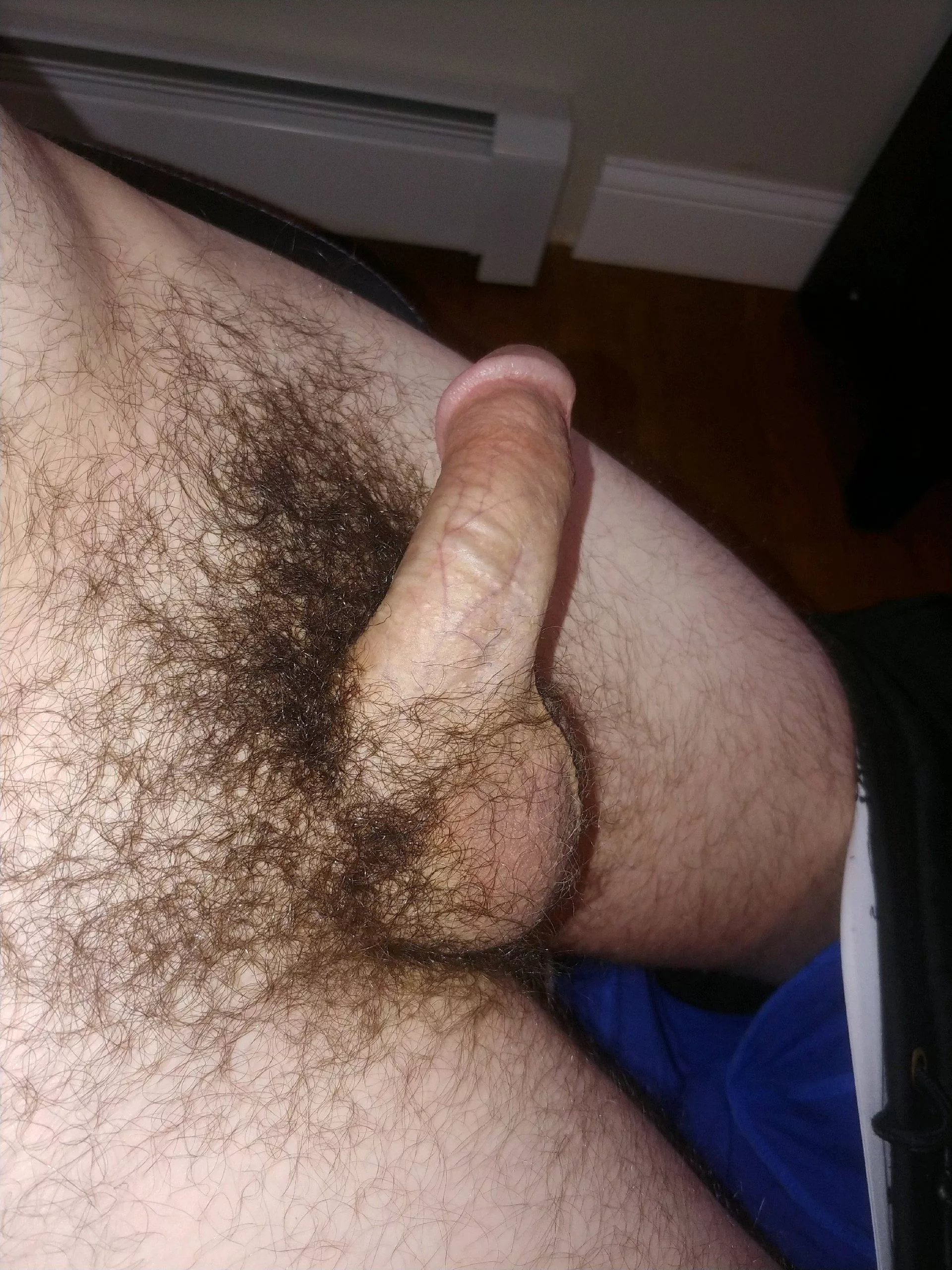 (35) Showing off my hairy package
