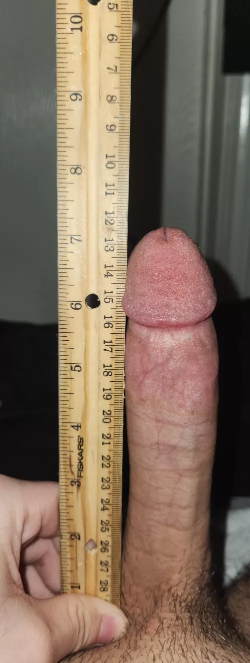 7.1x4.4______ 1st post tell me ur thoughts 🥺