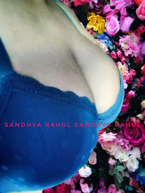 Blooming flowers 🌹 [F]