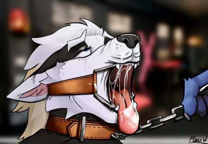 Come here bitch (M)(SexyPleaxy)