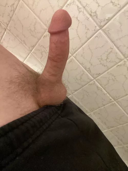 How would you rate my cock? DM’s are open for everyone 8=D