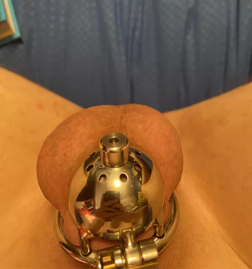I finally managed to get the cage on with the insert! (22m)