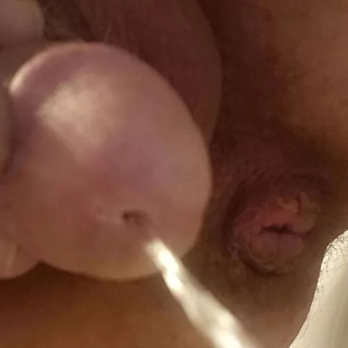 interesting point of view?